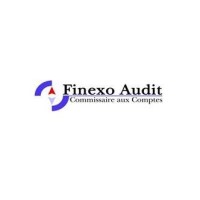 FINEXO Audit logo - Similar company to Cse Group [Hengel]