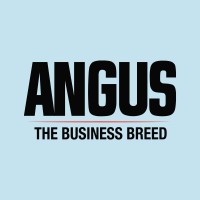 American Angus Association logo - Similar company to Bblvdd