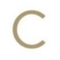Catalyst Strategy logo - Similar company to Abacus Alternative Assets