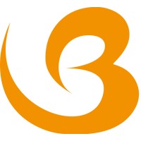 Buriti Consultoria logo - Similar company to Radho