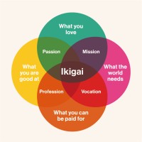 IKIGAI Institute of Sri Lanka logo - Similar company to Edumentorslab