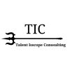 Talent Isscope Conssulting logo - Similar company to Ctws