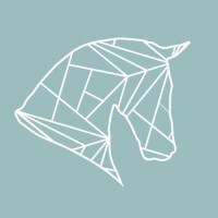 DressagePro Trainingen B.V. logo - Similar company to Nextfields (Part Of Conclusion)