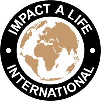 Impact a Life Foundation logo - Similar company to Bedable