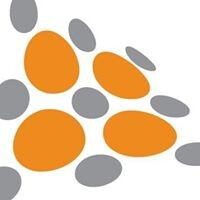Shape Services Limited logo - Similar company to Geekfind