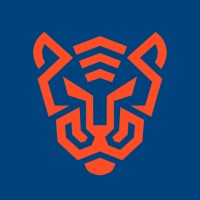 Connecta Soluções Digitais logo - Similar company to Bluex Solution