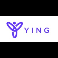 yingsolutions logo - Similar company to Balla-Solution.Com