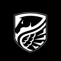 Luxorides logo - Similar company to Sergul Computer Institute