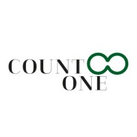 COUNTONE FZ LLC logo - Similar company to Onecount