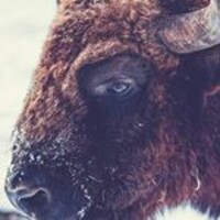 Tequilas and Air Motorsports logo - Similar company to Logística Romex