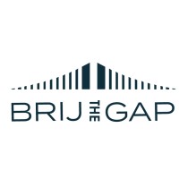 Brij the Gap Consulting logo - Similar company to Zaka