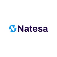 NatesaConsult logo - Similar company to Shadow Scribes