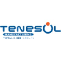 Tenesol Manufacturing South Africa logo - Similar company to Caldeaz Manufacturing Technologies