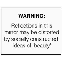 Mirroring Workshops logo - Similar company to Grayson Data Services