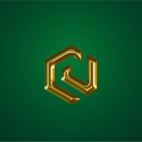 Coinvest Africa logo - Similar company to Urban Soft Solutions