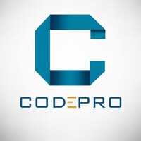 CODEPRO Nicaragua logo - Similar company to 101Deco