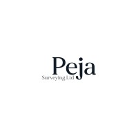 PEJA Surveying Ltd logo - Similar company to Qs Support Limited