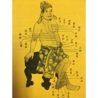 Acupuncture and Herbal Medicine Education for Physicians - Academy of Pain Research logo - Similar company to European University Of Chinese Medicine