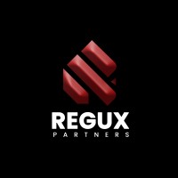 Regux Partners logo - Similar company to Lsoft