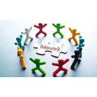 Development Team logo - Similar company to Business Development Partner Bdp
