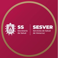 Servicios de Salud de Veracruz logo - Similar company to Xalapacode