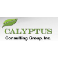 Calyptus Consulting Group, Inc.