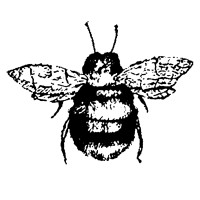 Abejas Boutique logo - Similar company to Bocnyc