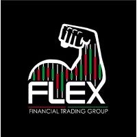 Flex Financial Trading Group logo - Similar company to Fx Solutions