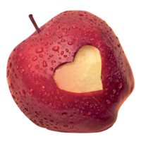 In Più, Assistance Fund - Integrative Fund of the National Health Service logo - Similar company to Ita Innovation Srl