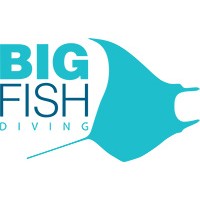 Big Fish Diving logo - Similar company to Ocean Eye