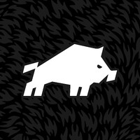 DZIK® logo - Similar company to Sfd S.A.