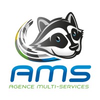 AMS Agence Multi-Services logo - Similar company to Nodeflow Agence De Nocode