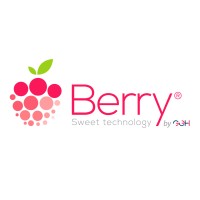 BerrySoft MX logo - Similar company to Masbyte