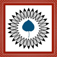 Center for Native American Youth logo - Similar company to Blue Elements