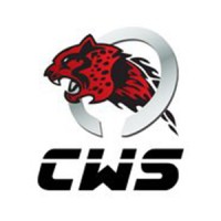 (CWS) CUSTOM WHEEL SOLUTION logo - Similar company to Torque Wheels