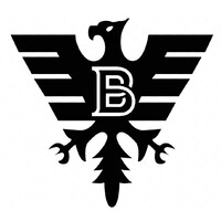 Bold Eagle logo - Similar company to Maison D'Hôtes Insolite Bulles D'Olive