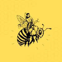 Big Bend Bees