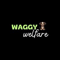 Waggy Welfare logo - Similar company to Wrapgame India