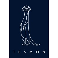 Teamon - Human performance technology logo - Similar company to Ctae