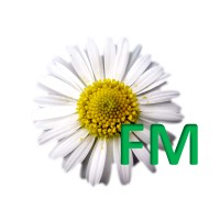 DAISYFM LIMITED logo - Similar company to Voiceflow.Io