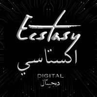 Ecstasy Digital - Optimize | Amplify | Dominate logo - Similar company to Sky Gate