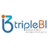 Triplebi - Burghardt Benz Business Intelligence