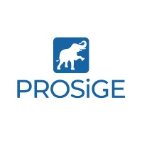 Prosige Consultores logo - Similar company to Ac Depot Costa Rica