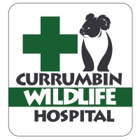 Currumbin Wildlife Hospital