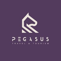 Pegasus Travel & Tourism logo - Similar company to Darsys
