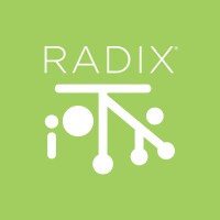 Radix IoT logo - Similar company to Online Tech