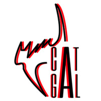CatGal logo - Similar company to Minitel