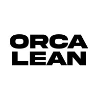 Orca Lean logo - Similar company to Orca Lean - Digital Solutions