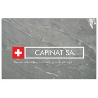 CAPINAT SA logo - Similar company to Aatc