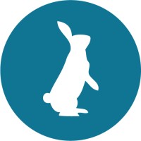 Blue Coney logo - Similar company to Cellstream, Inc.